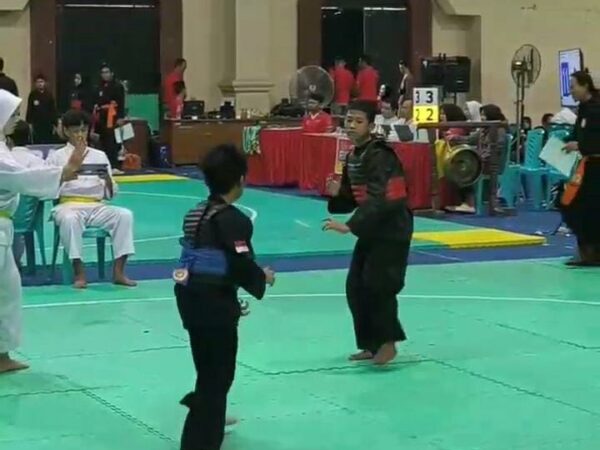 pencak silat